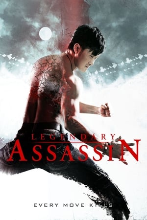 Legendary (2013) Hindi Dual Audio 480MB